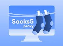 100 IP Proxy